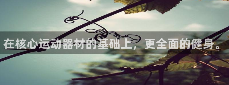 九游体育官方正版app开户:在核心运动器材的基础上,更全面的